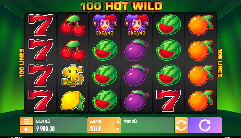 100 Hot Wild Slot